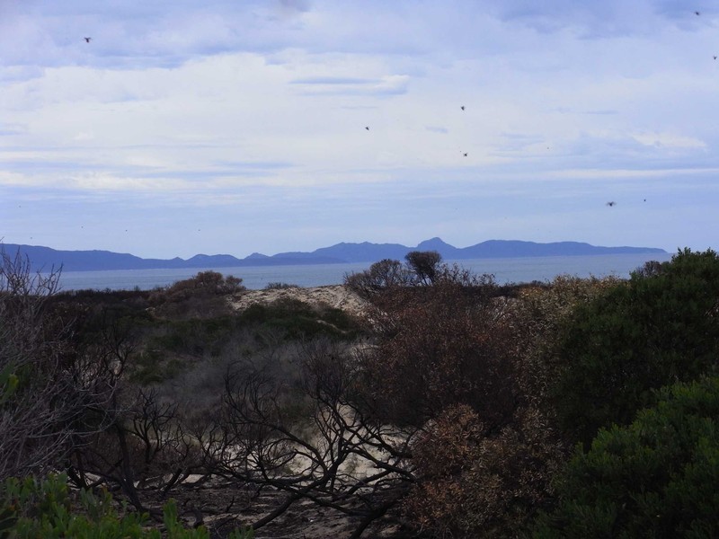 Lot 97 Dolphin Sands Rd, Swansea TAS 7190
