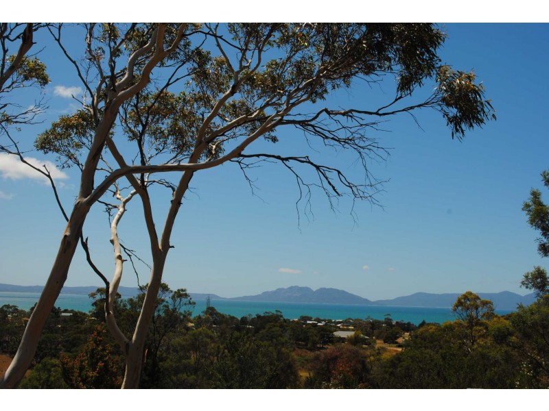18 Burgess Street, Swansea TAS 7190