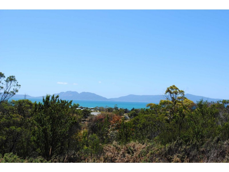 18 Burgess Street, Swansea TAS 7190