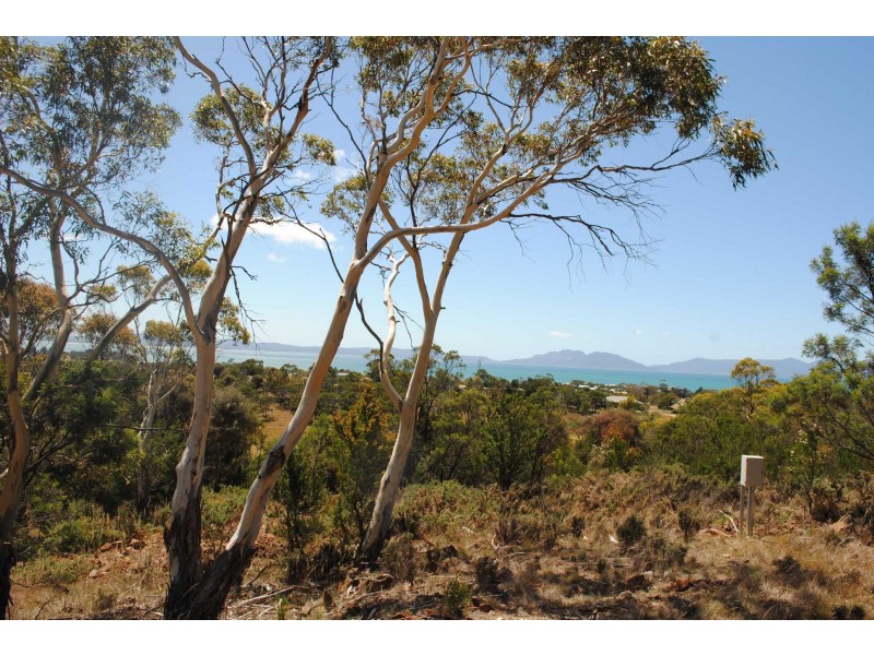 18 Burgess Street, Swansea TAS 7190