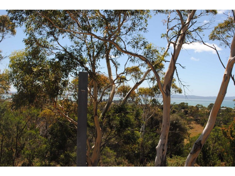 18 Burgess Street, Swansea TAS 7190