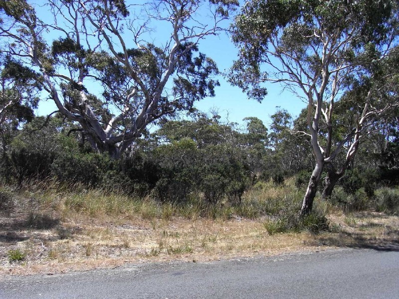 Lot 4 Dolphin Sands Road, Swansea TAS 7190