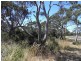 Lot 4 Dolphin Sands Road, Swansea TAS 7190