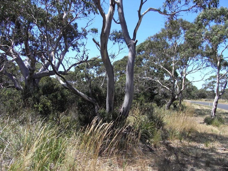 Lot 4 Dolphin Sands Road, Swansea TAS 7190