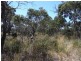 Lot 4 Dolphin Sands Road, Swansea TAS 7190