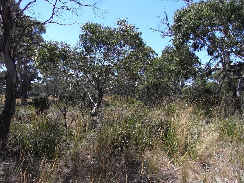 Lot 4 Dolphin Sands Road, Swansea TAS 7190