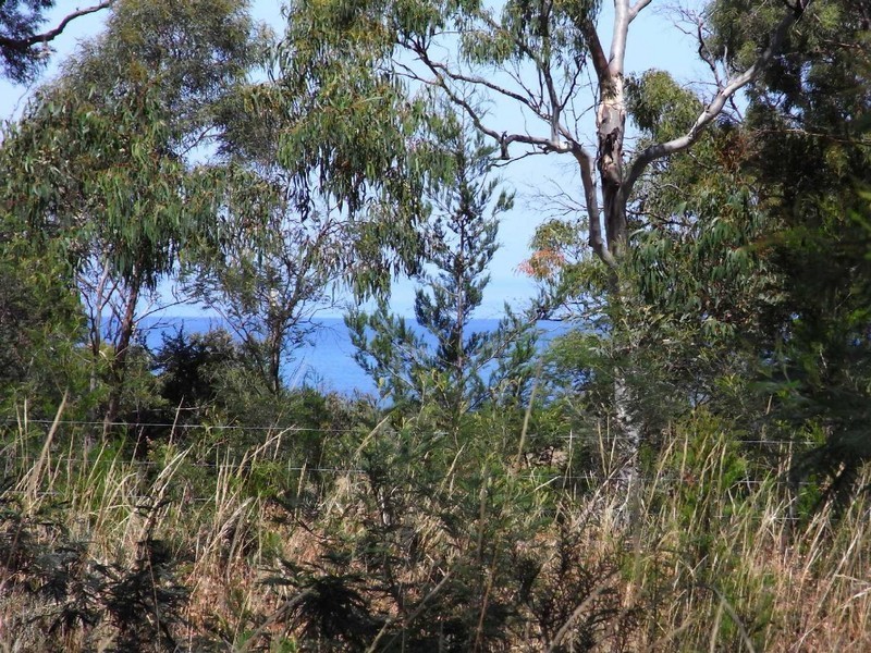 Lot 2 Tasman Highway, Swansea TAS 7190