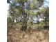 Lot 2 Tasman Highway, Swansea TAS 7190
