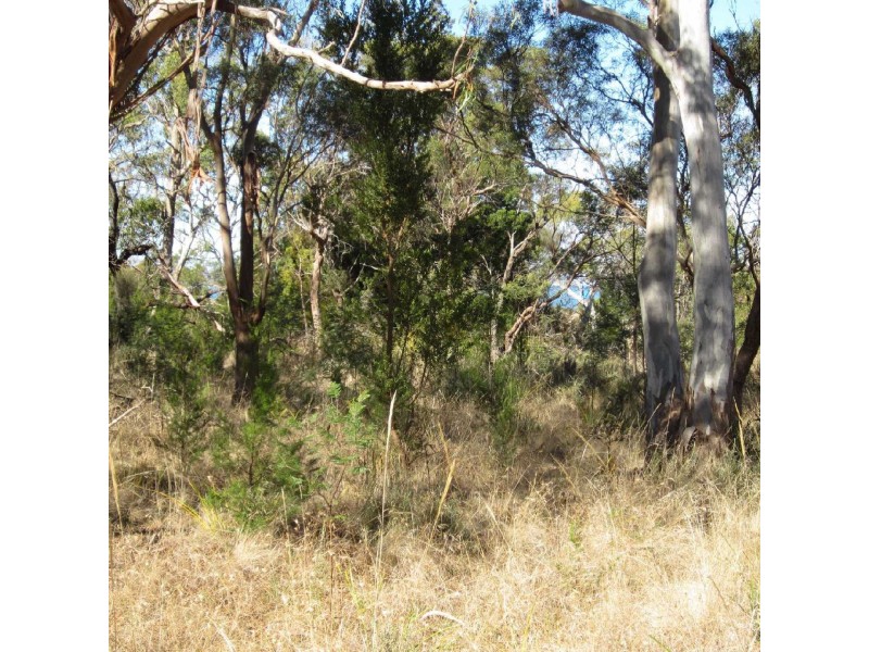 Lot 2 Tasman Highway, Swansea TAS 7190