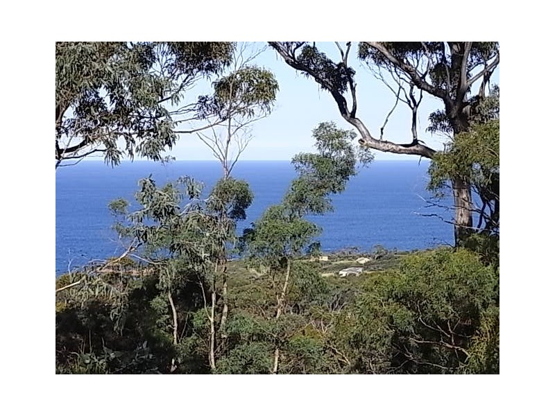 Lot 3 Courland Bay Road, Bicheno TAS 7215