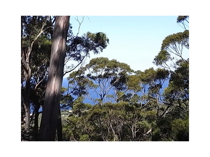 Lot 3 Courland Bay Road, Bicheno TAS 7215