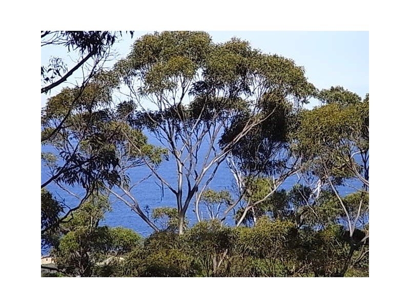 Lot 3 Courland Bay Road, Bicheno TAS 7215