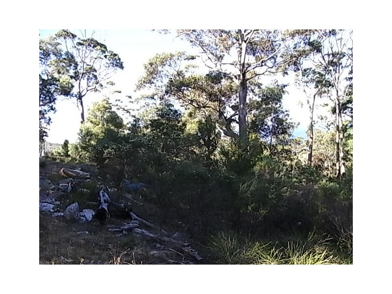 Lot 3 Courland Bay Road, Bicheno TAS 7215