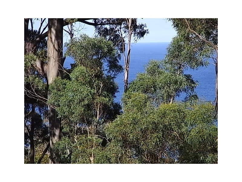 Lot 3 Courland Bay Road, Bicheno TAS 7215