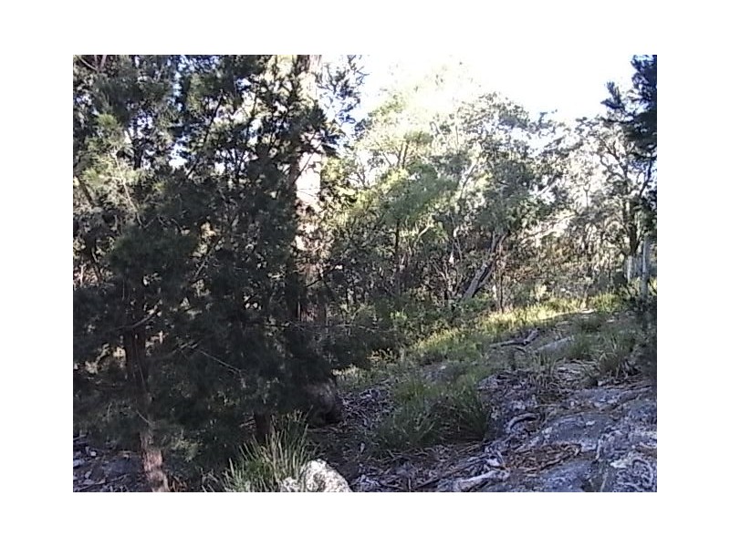 Lot 3 Courland Bay Road, Bicheno TAS 7215