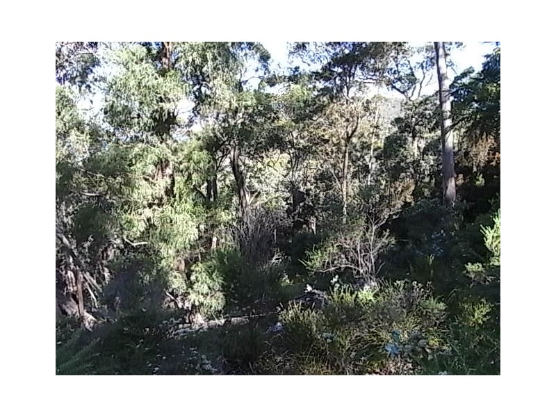 Lot 3 Courland Bay Road, Bicheno TAS 7215