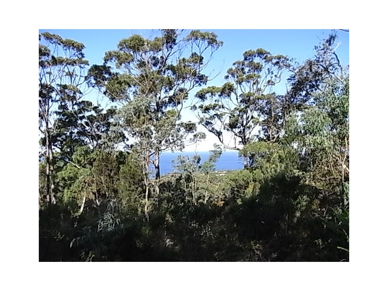 Lot 3 Courland Bay Road, Bicheno TAS 7215