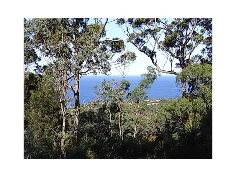 Lot 3 Courland Bay Road, Bicheno TAS 7215