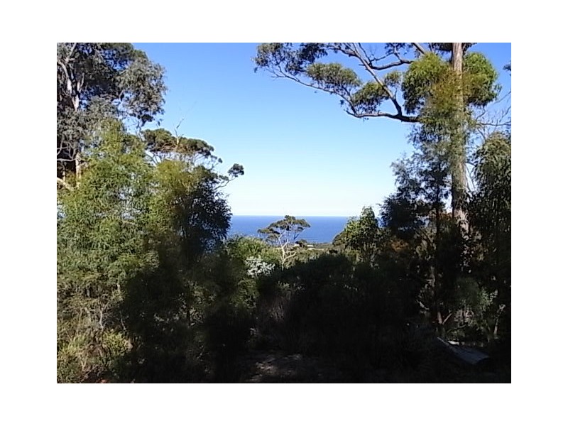 Lot 3 Courland Bay Road, Bicheno TAS 7215