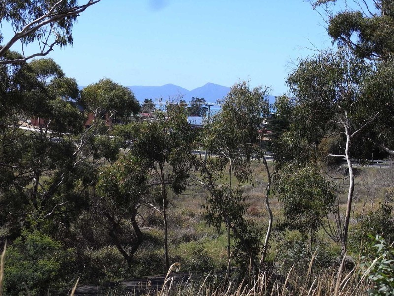 Lot 4, 5 and 6 River Street, Swansea TAS 7190