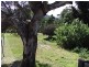 3 Gamble Crescent, Bicheno TAS 7215