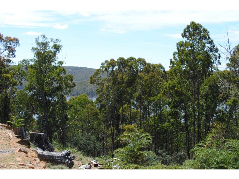 44 Little Spit Road, Lake Leake TAS 7210