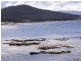 299 Harvey’s Farm Road, Bicheno TAS 7215