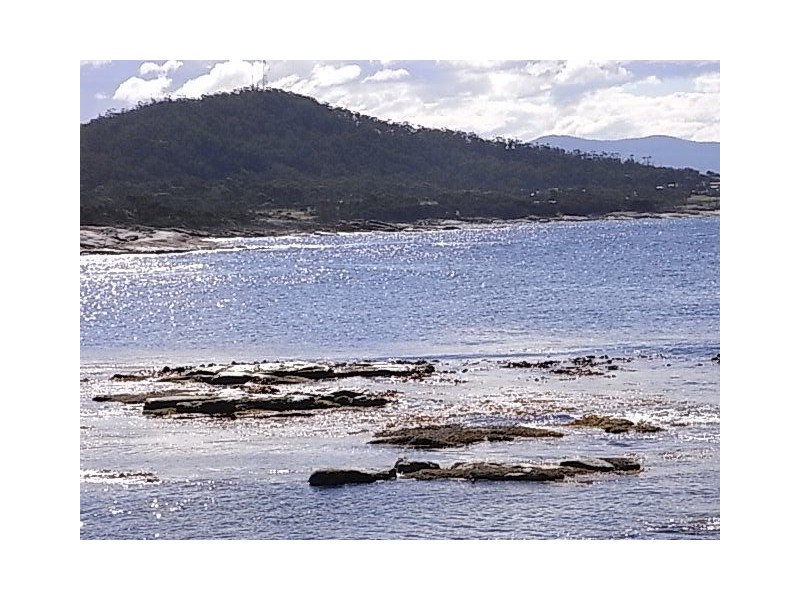 299 Harvey’s Farm Road, Bicheno TAS 7215