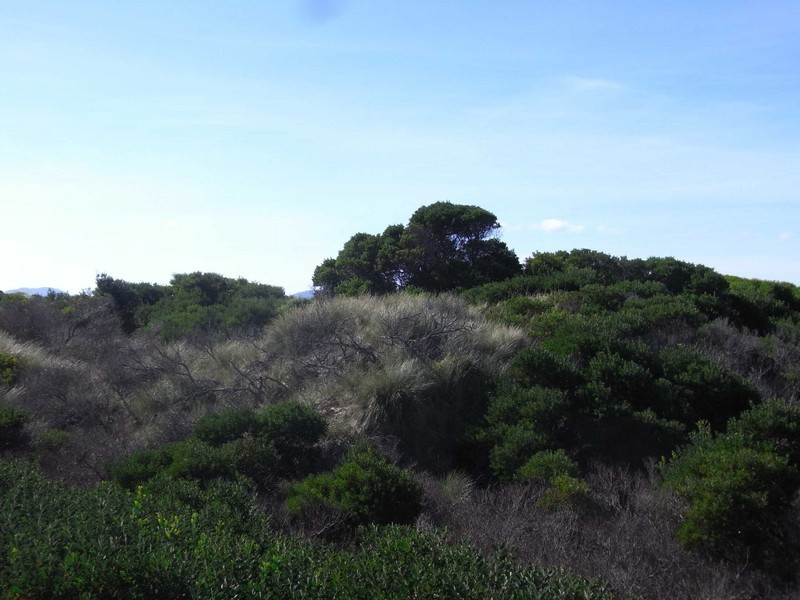 Lot 106 Dolphin Sands Road, Swansea TAS 7190