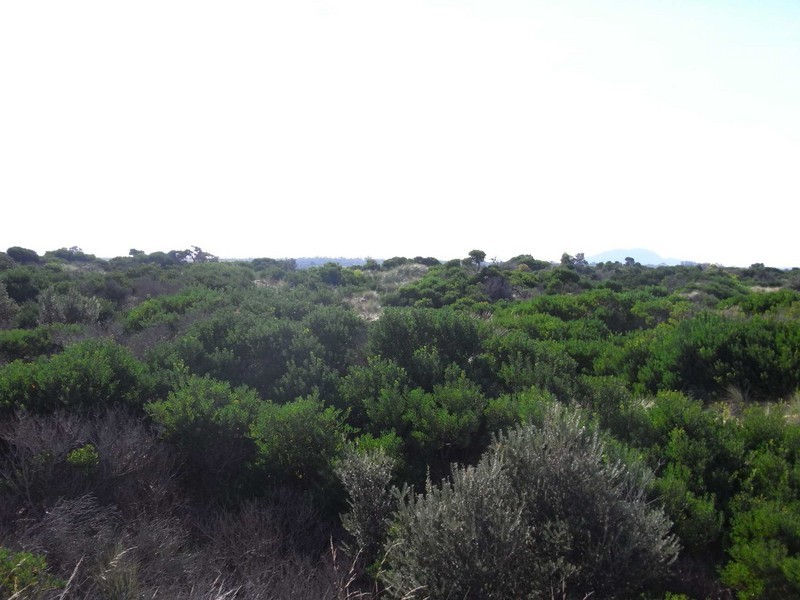 Lot 106 Dolphin Sands Road, Swansea TAS 7190