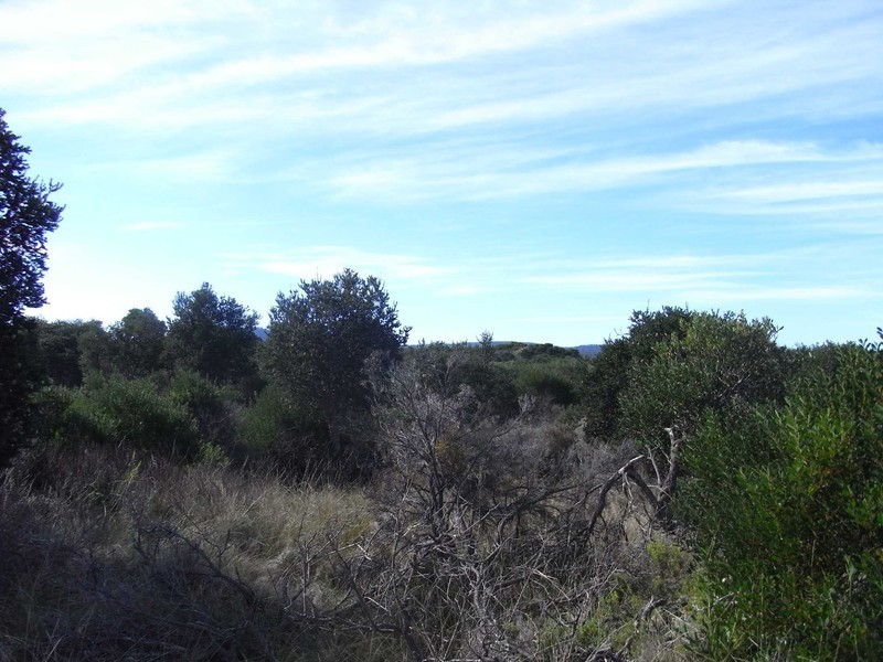 Lot 173 Dolphin Sands Rd, Swansea TAS 7190