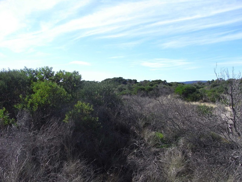 Lot 173 Dolphin Sands Rd, Swansea TAS 7190