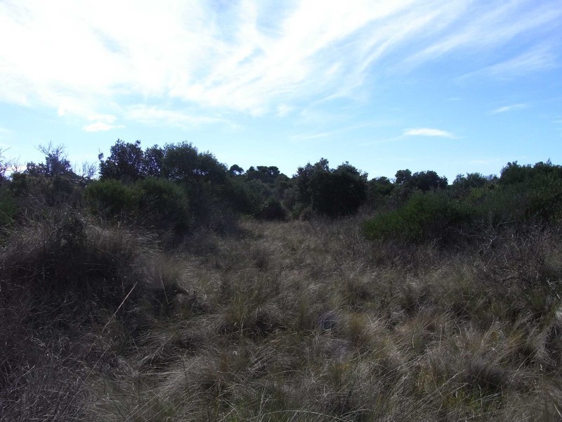 Lot 173 Dolphin Sands Rd, Swansea TAS 7190