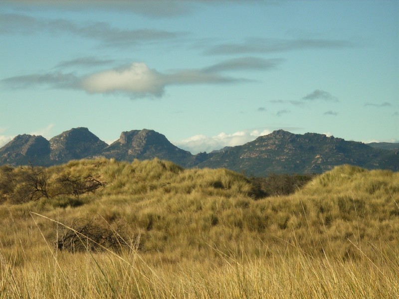 1028 Dolphin Sands Rd, Swansea TAS 7190