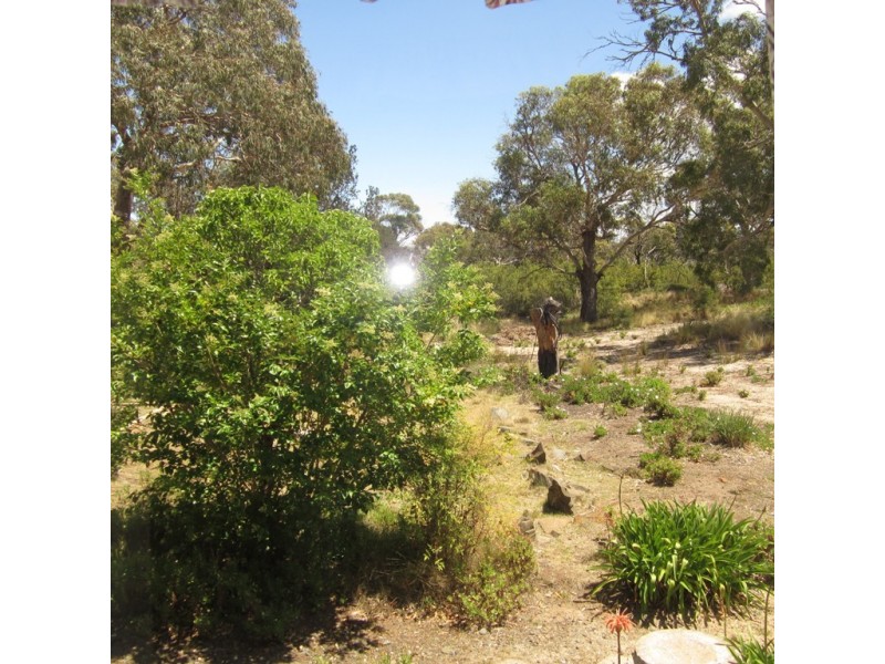 1298 Dolphin Sands Road, Dolphin Sands TAS 7190