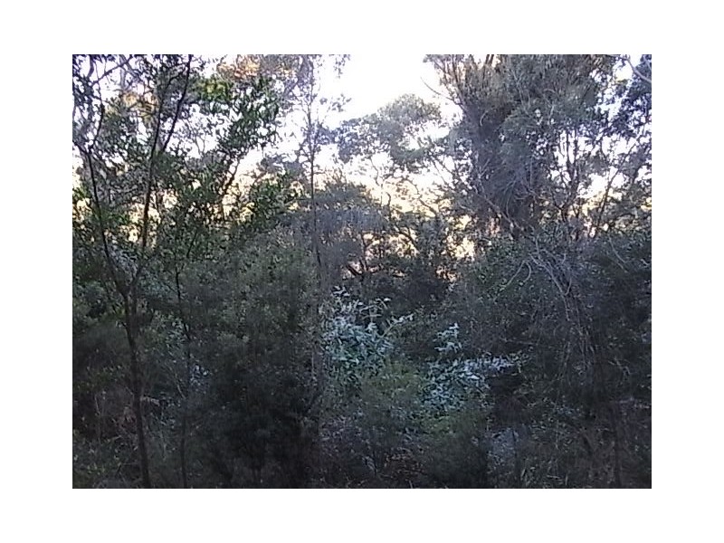 94 Freycinet Drive, Coles Bay TAS 7215