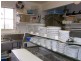 3 Maria Street, Swansea TAS 7190