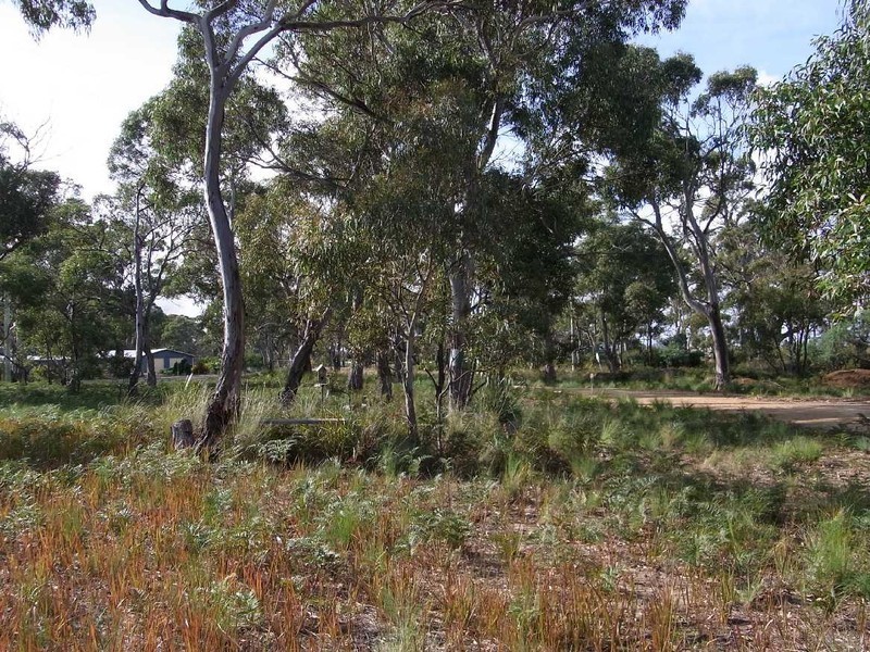 75 Cambria Drive, Swansea TAS 7190