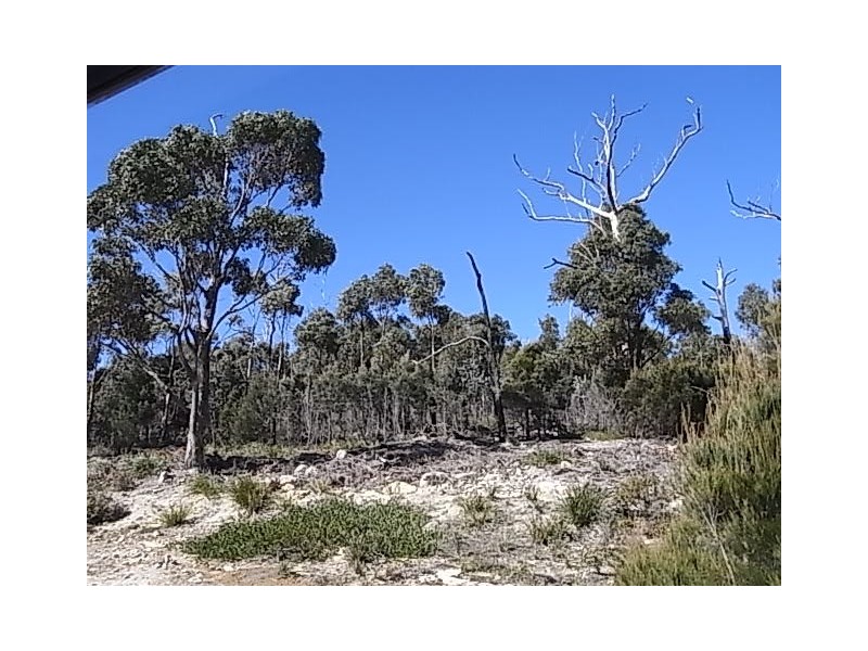 9 Gordon Heights, Bicheno TAS 7215