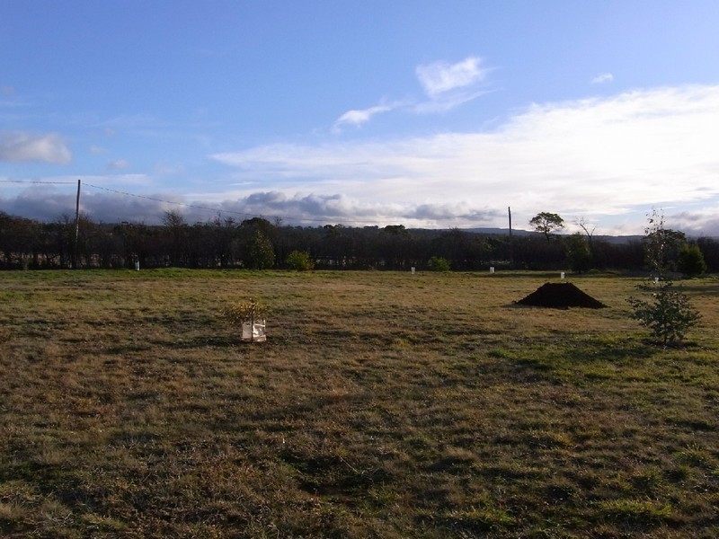 6 Dove Lane, Swansea TAS 7190