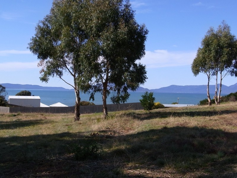 40 Gordon Street, Swansea TAS 7190
