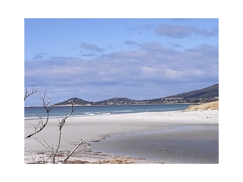 18482 Tasman Highway, Bicheno TAS 7215