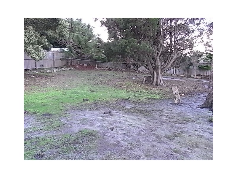 20 Douglas Street, Bicheno TAS 7215