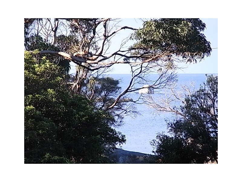 20 Douglas Street, Bicheno TAS 7215
