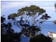 20 Douglas Street, Bicheno TAS 7215