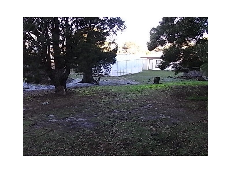 20 Douglas Street, Bicheno TAS 7215