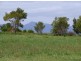 32 Old Spring Bay Road, Swansea TAS 7190