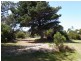 RA 1449 Dolphin Sands Road, Dolphin Sands TAS 7190