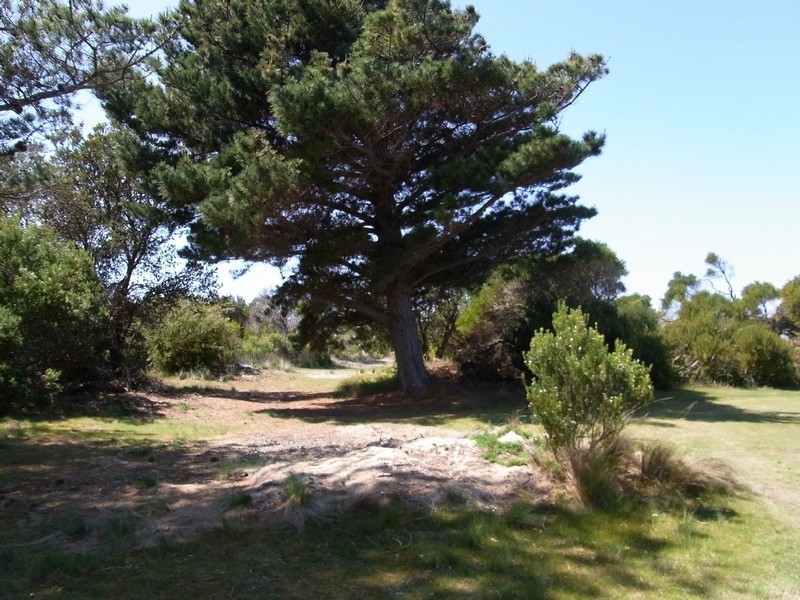 RA 1449 Dolphin Sands Road, Dolphin Sands TAS 7190
