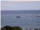 2B Tasman Highway, Bicheno TAS 7215